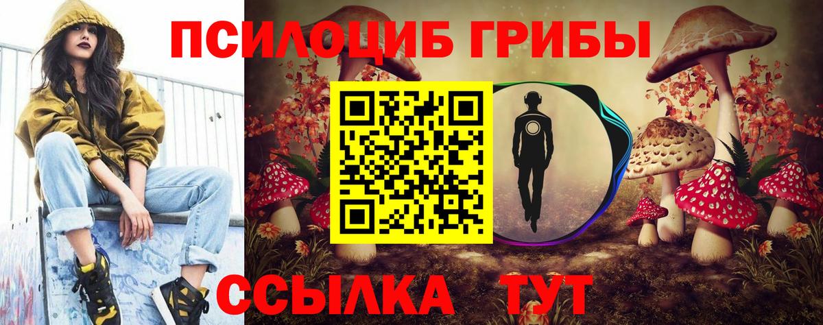 Псилоцибиновые грибы мицелий Красноярск